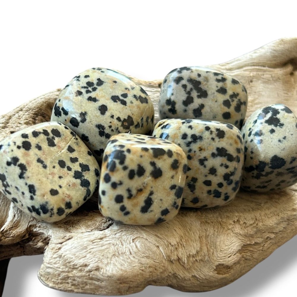 Pierre Roulée Jaspe Dalmatien