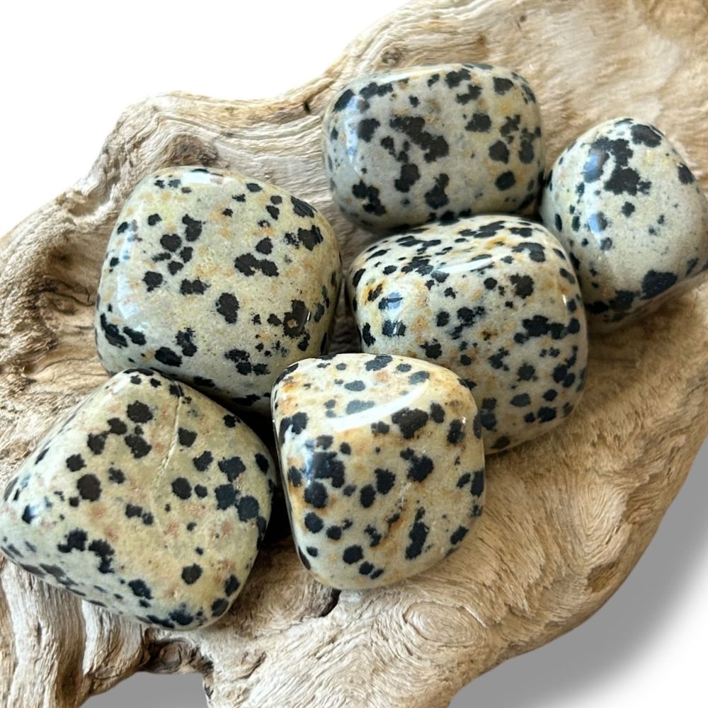 Pierre Roulée Jaspe Dalmatien